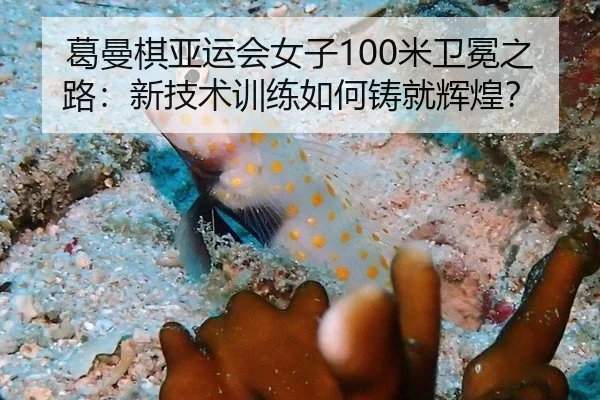 葛曼棋亚运会女子100米卫冕之路：新技术训练如何铸就辉煌？